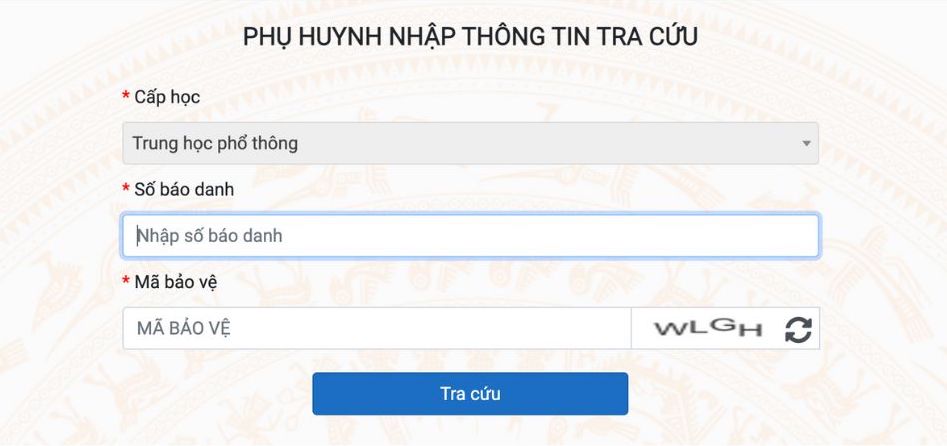 Thi sinh nhap thong tin day du va chinh xac khi tra cuu tra cuu diem thi vao lop 10.