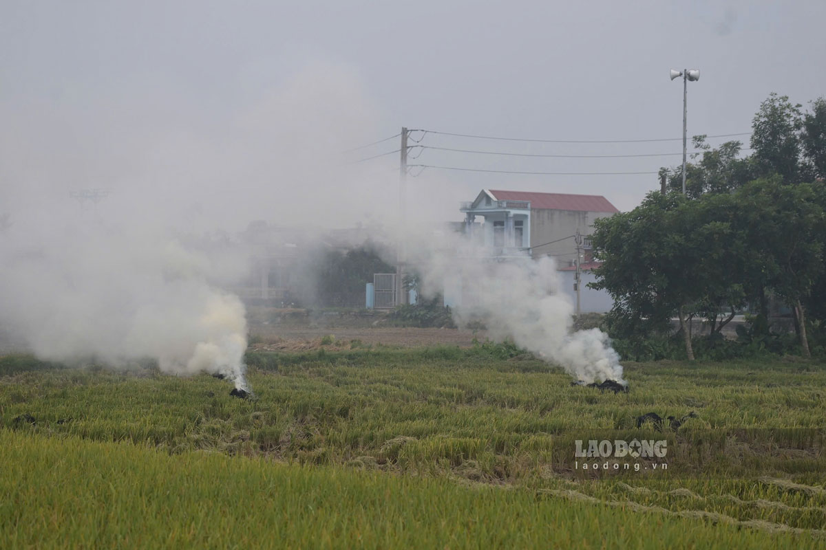 Người dân đốt rơm rạ ngay tại ruộng làm khói mù mịt lan vào khu vực đường giao thông. Ảnh: Hà Vi 