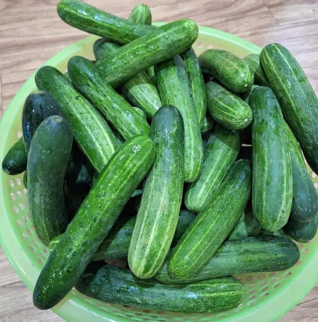 Cucumber juice drunk on an empty stomach is good for the kidneys. Photo: Quang Minh.