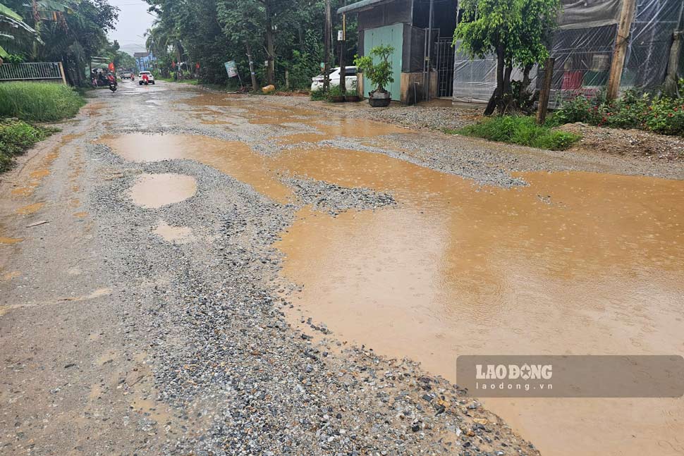 Soi da, o ga giang kien mat duong. Anh: Thanh Thanh