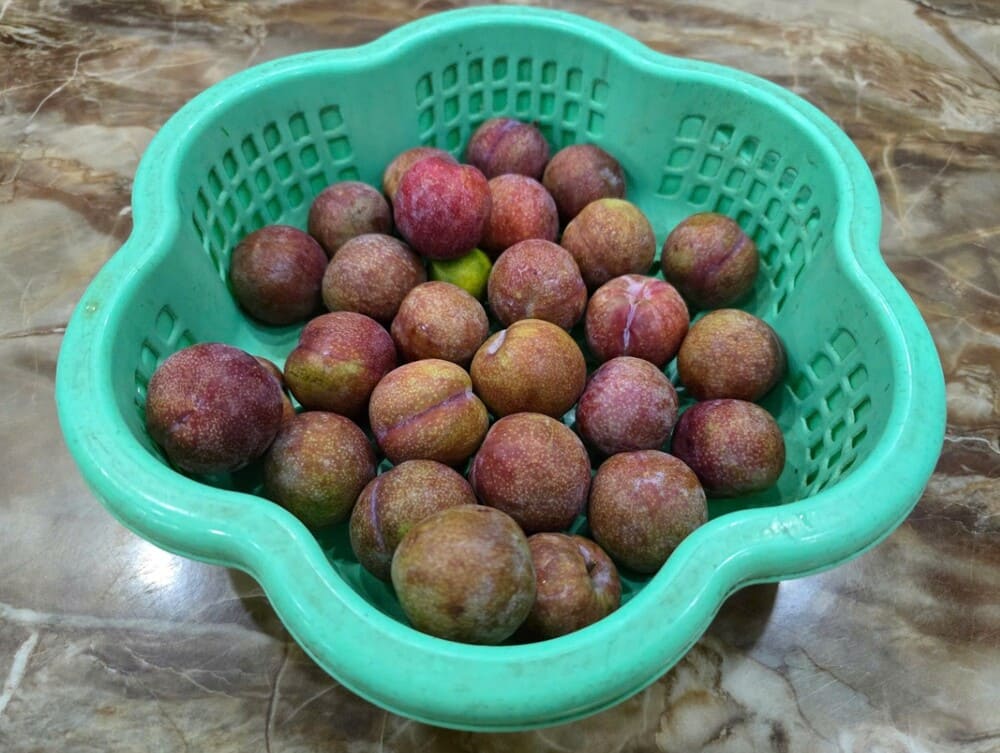 Las ciruelas deben limitarse para evitar afectar la salud. Foto: Tuan dat