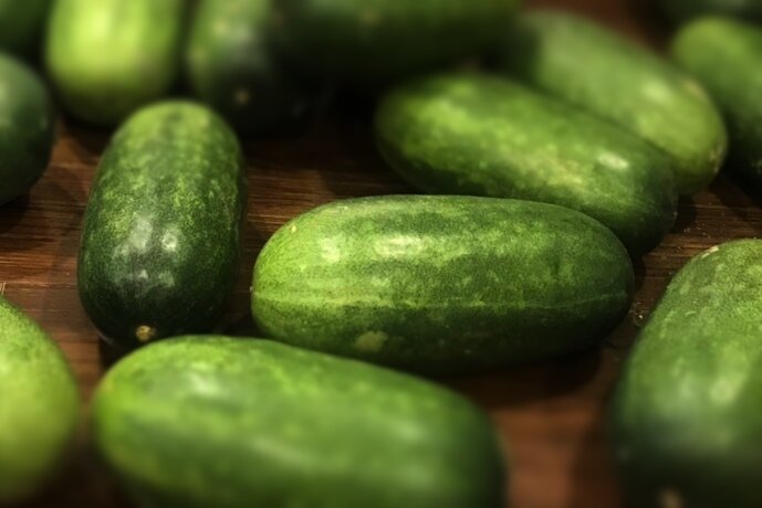 Eat squash at the right time to help lower blood sugar. Photo: Kieu Vu