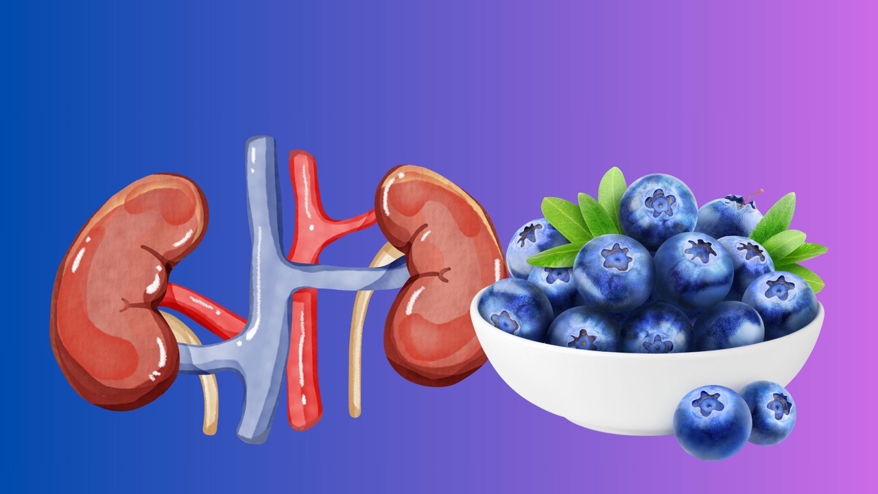 Blueberries are rich in antioxidant anthocyanin, which helps the kidneys stay healthy and filter blood effectively. Graphic photo: HUENG SON