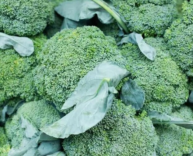 Broccoli is one of the green vegetables that should be added to the diet to support simple liver detoxification. Photo: Kieu Vu