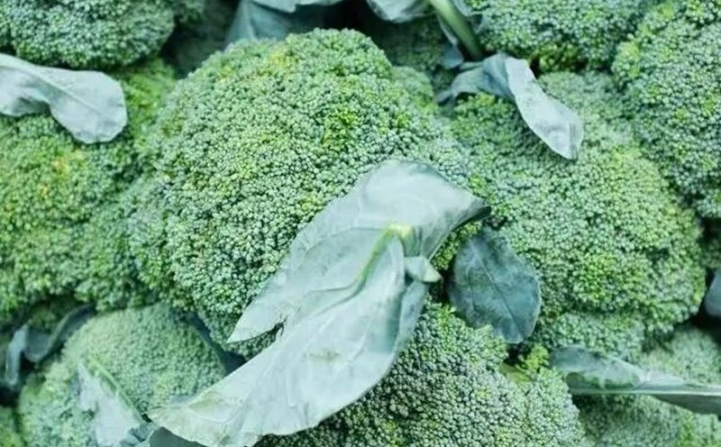 Broccoli is one of the green vegetables that should be added to the diet to support simple liver detoxification. Photo: Kieu Vu
