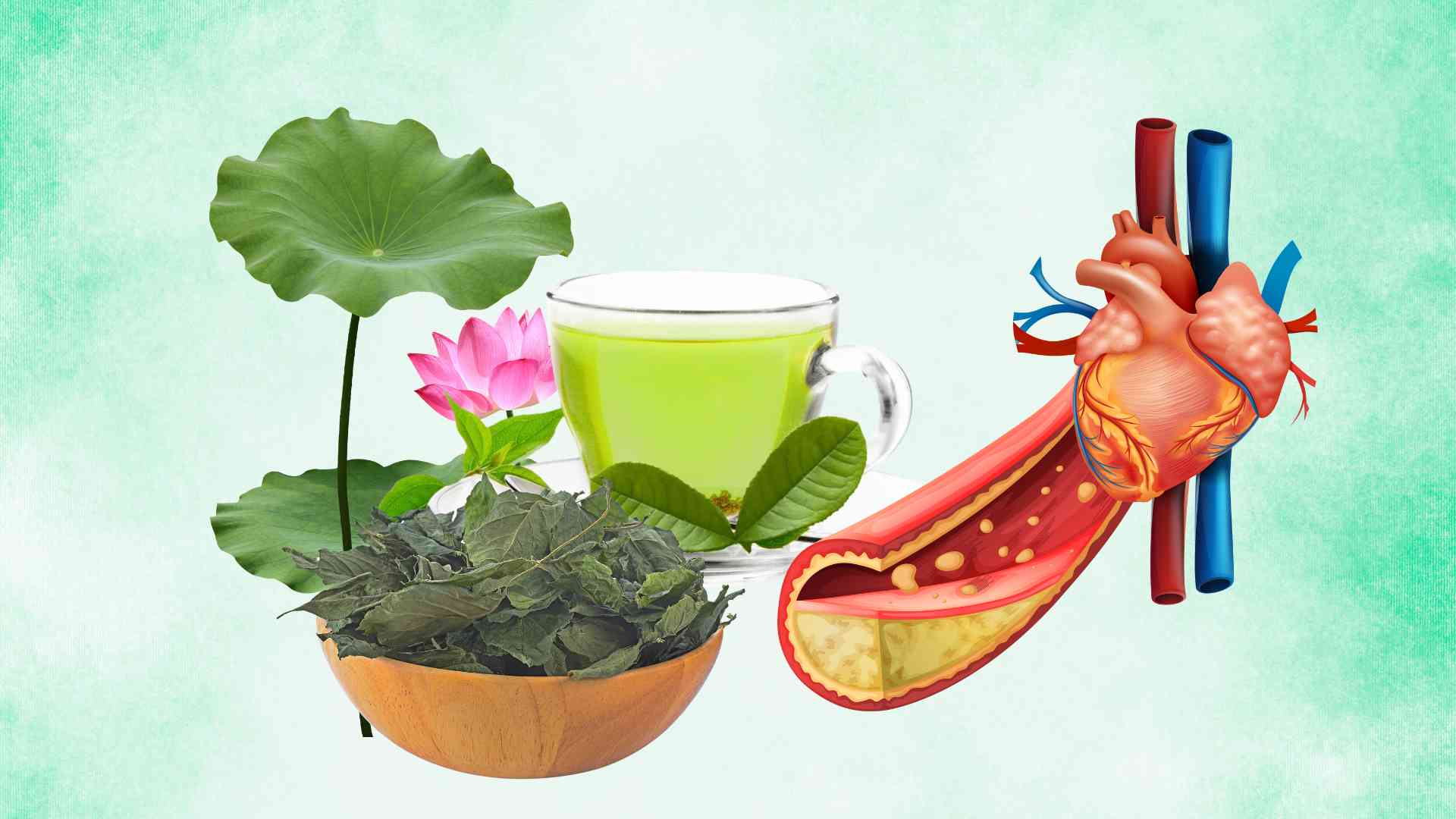 3 herbal remedies that effectively support reducing blood fat. Graphic photo: Hoang Loc