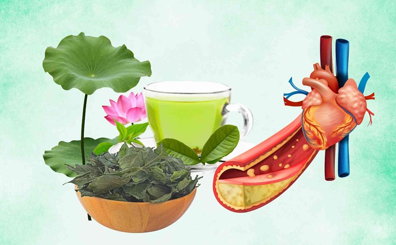 3 herbal remedies that effectively support reducing blood fat. Graphic photo: Hoang Loc