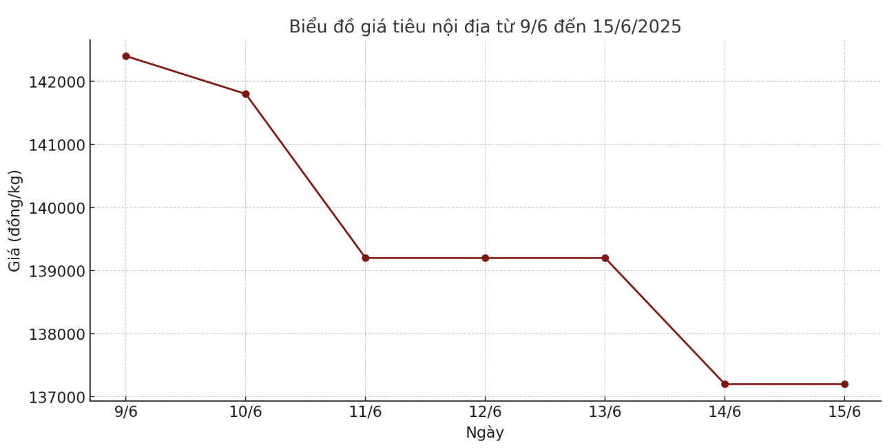 Tong ket gia tieu tuan tu ngay 9.6-15.6, giam 5.000 dong/kg so voi chot phien tuan truoc do. Anh: Thanh Binh