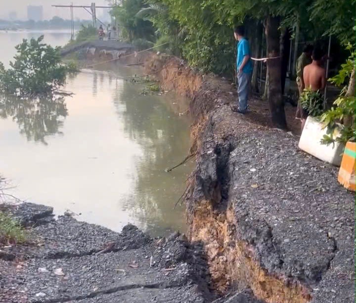 Ahead of the landslide on the Saigon River dike in Binh My commune (Cu Chi). Photo: Binh My Commune Military Command