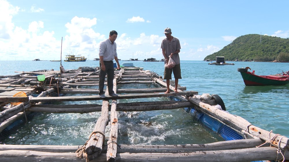 Cage fish farming in Duong To commune, Phu Quoc city. Photo: Nam Phuong