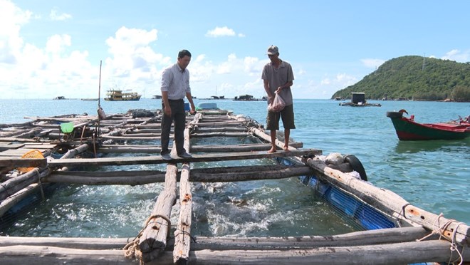 Để nghề nuôi cá lồng bè trên biển ở Phú Quốc phát triển bền vững