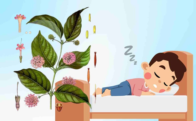 Medications to support the treatment of vestibular disorders, effectively improve insomnia