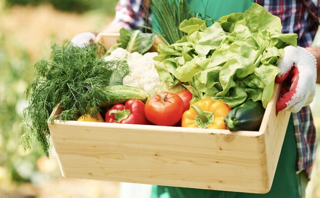 Agricultural product trading, new startup trend. Photo: Thuy Duong