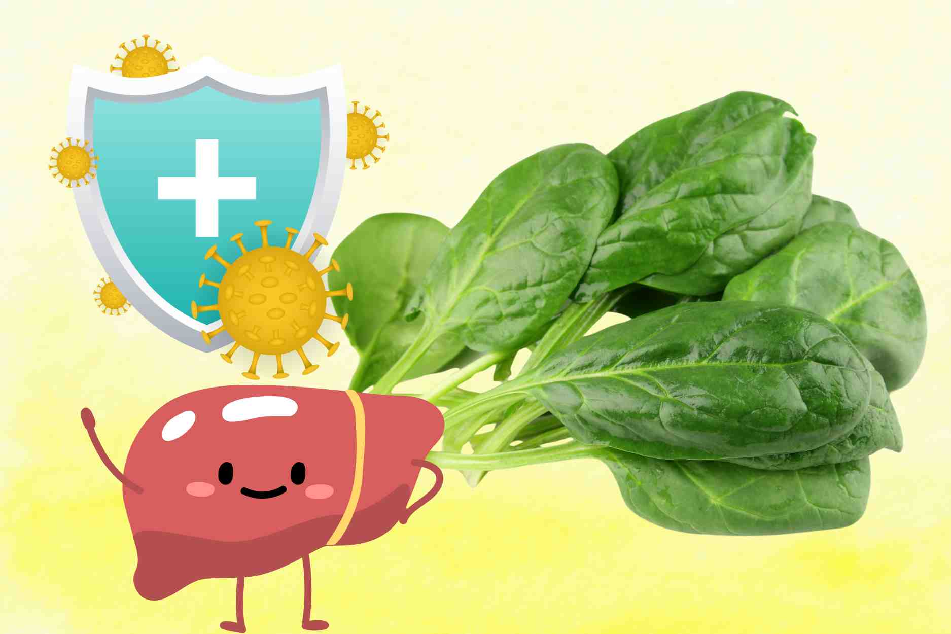 Instructions on how to prepare summer medicine to help brighten eyes, nourish the liver, and increase immunity. Graphics: Dinh Dinh