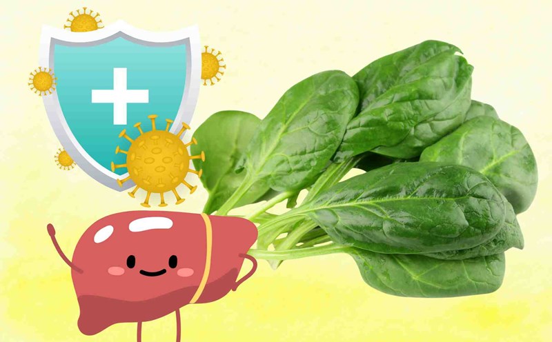 Instructions on how to prepare summer medicine to help brighten eyes, nourish the liver, and increase immunity. Graphics: Dinh Dinh