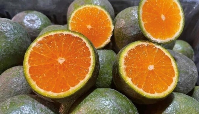 Oranges are a rich source of potassium, so they are not good for people with kidney disease. Photo: Kieu Vu