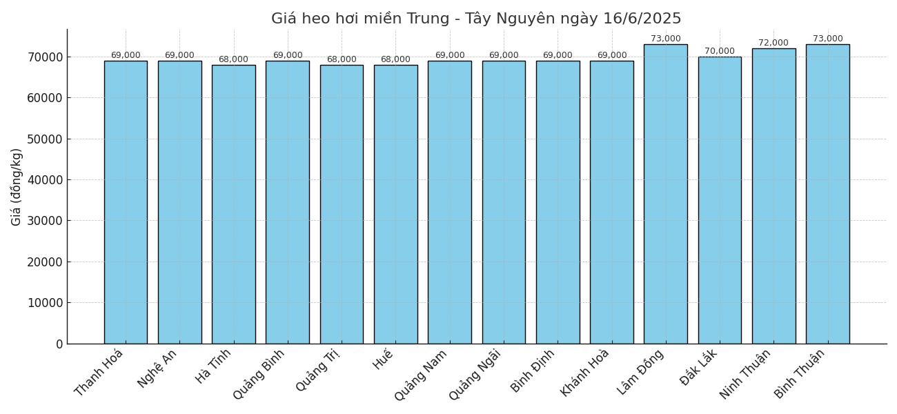 Gia heo hoi khu vuc mien Trung - Tay Nguyen ngay 16.6. Do hoa: Thuy Linh.