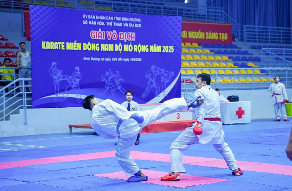Cac van dong vien tranh tai sau le khai mac. Anh: So VHTTDL Binh Duong