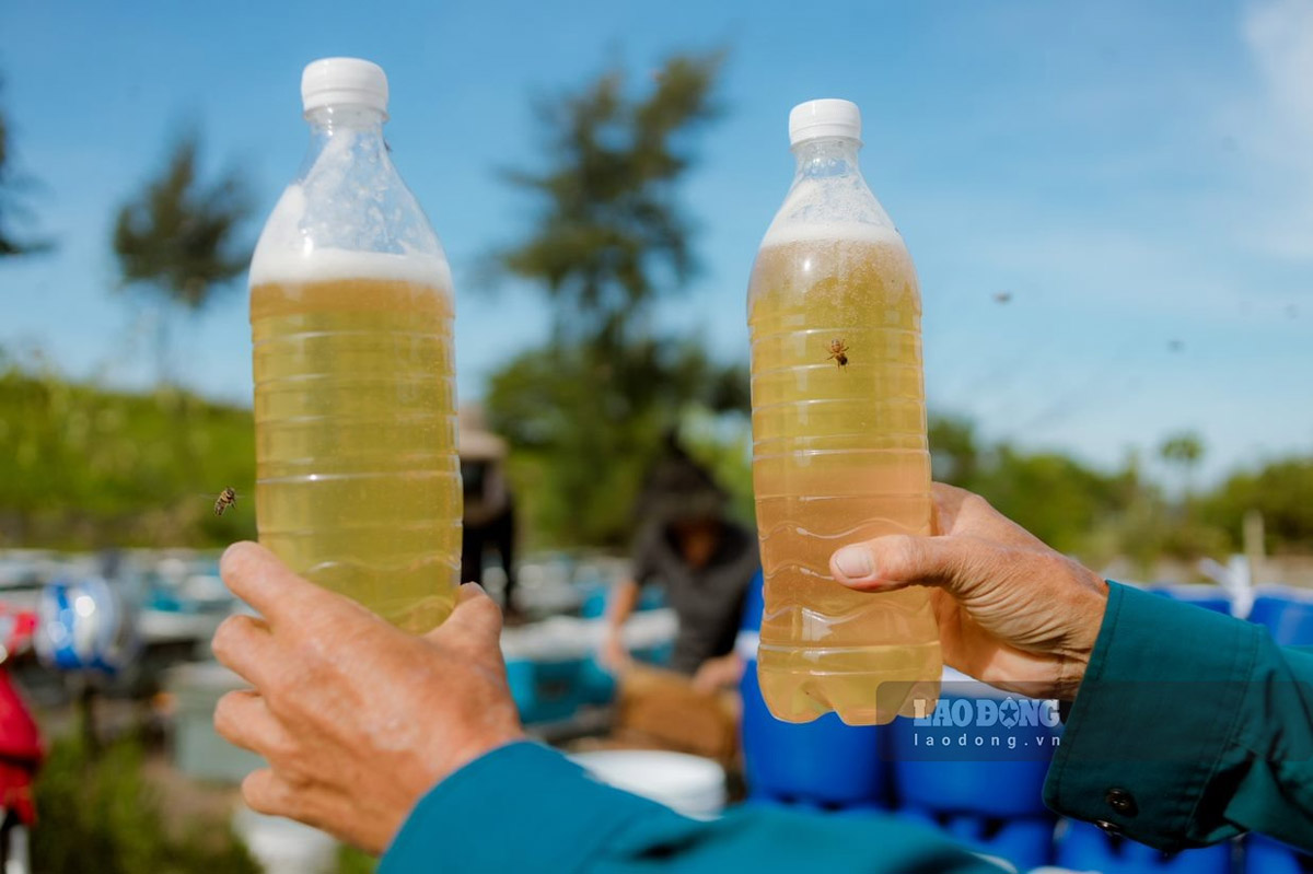 Nam Dinh tiene 7 productos OCOP mas en 2025, alcanzando la clase de 4 estras, incluida la miel de loro rojo Bac Hong. Obra de arte: HA VI