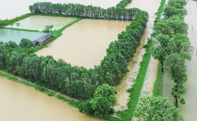 The impact of storm No. 1 caused heavy rain, many places in Quang Tri were flooded, so the locality advised people to be cautious when moving to avoid drowning. Photo: Han Nguyen