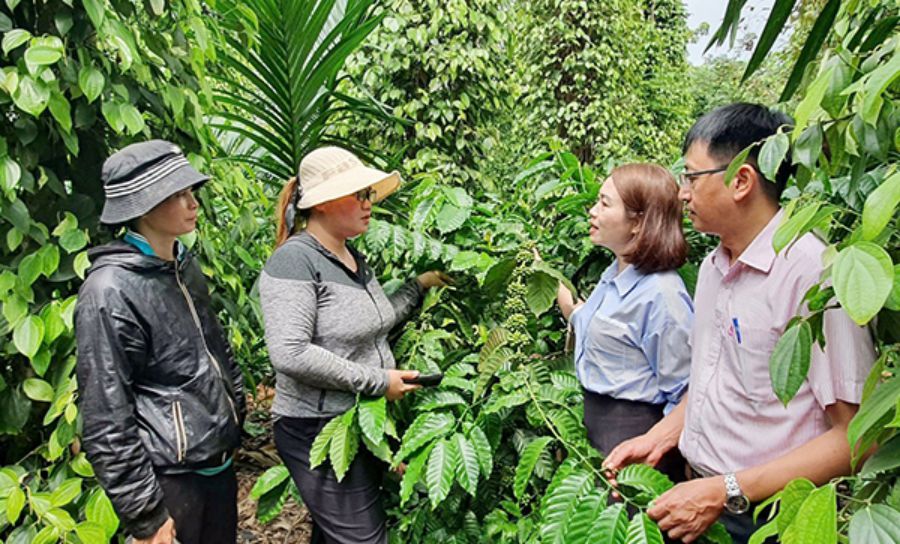 From the beginning of 2025 to now, the whole Dak Lak province has disbursed loans to more than 25,978 poor, near-poor households and other policy beneficiaries. Photo: Cong Thai