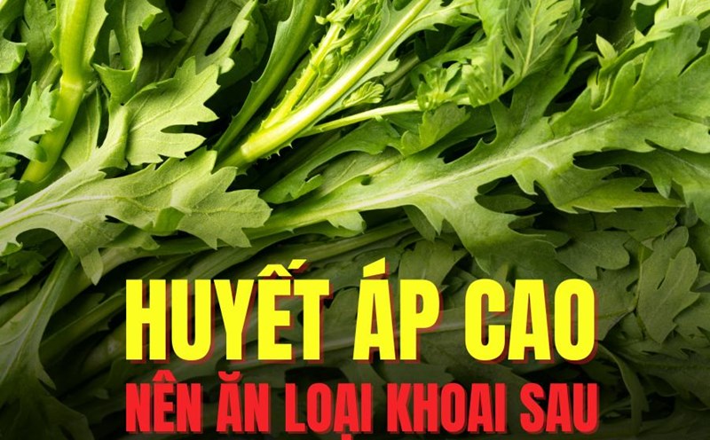 Chamomile brings many benefits to people with high blood pressure. Graphics: Tra My