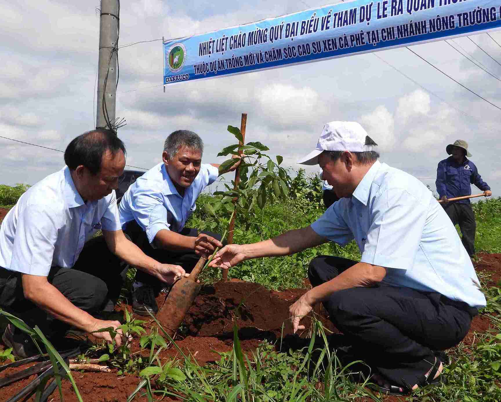 Trong tuong lai, du an duoc hua hen se cho doanh thu tot va tao them viec lam cho nguoi lao dong. Anh: Bao Trung