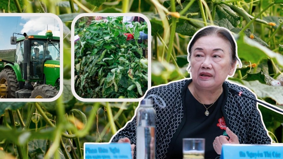 Business household asked - Experts replied: In case the business household does not need an input invoice. Photo: Thanh Binh