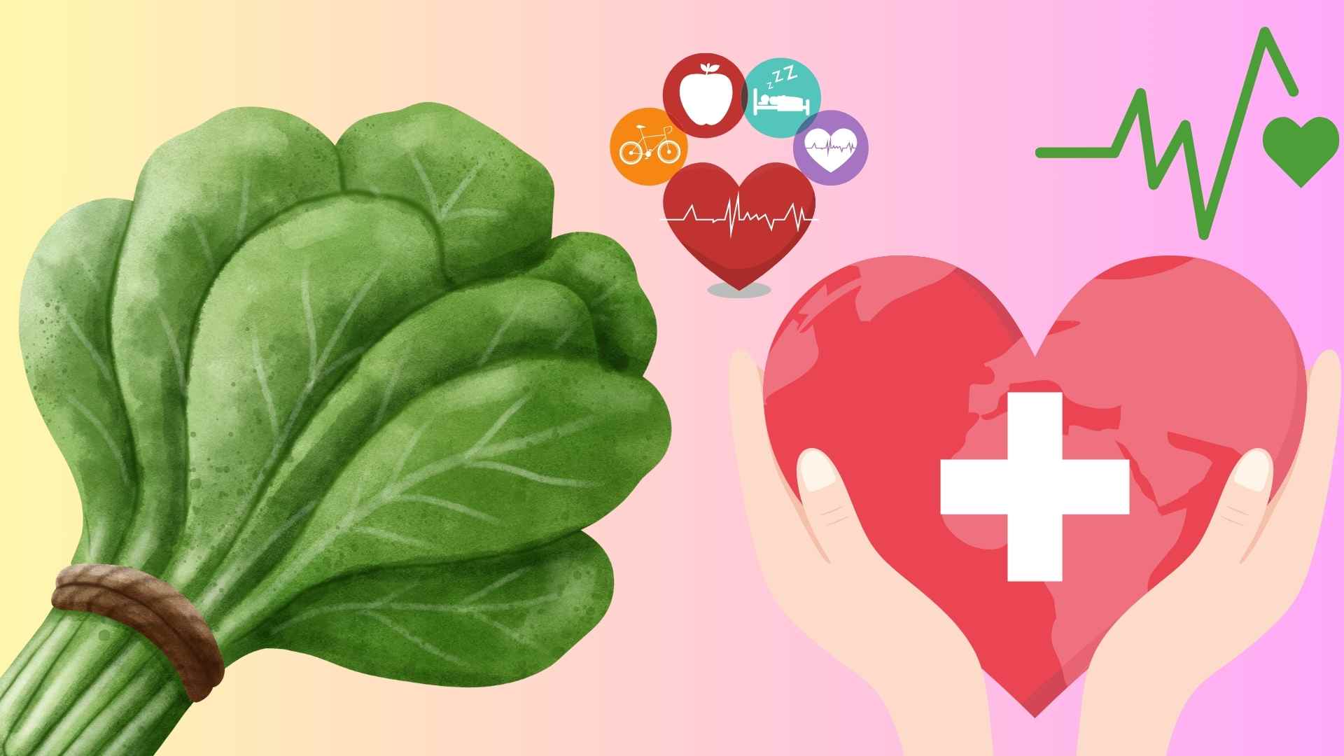 La espinaca es rica en nutrientes, ayuda a brillar, higado, aumentar la resistencia y embellecer la piel. Este vegetal suave y facil de preparar es adecuado para las comidas de verano. Graficos: Huyen Trang