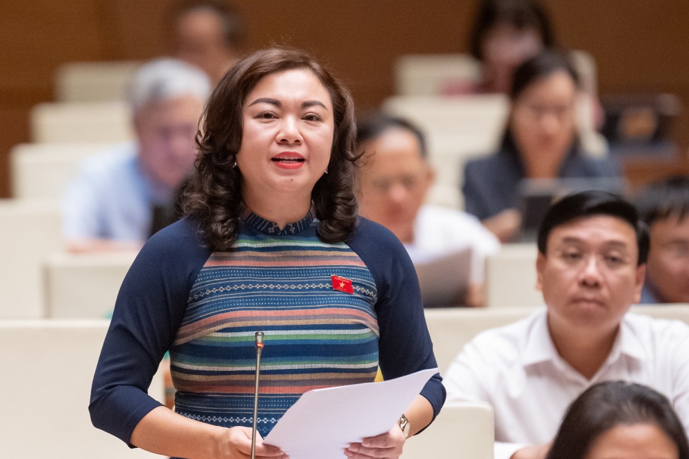Dai bieu Dang Bich Ngoc phat bieu. Anh: Pham Dong