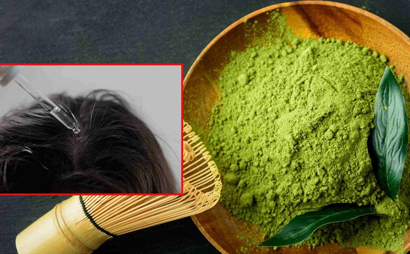 Surprised by the effect of matcha tea in stimulating hair growth. Graphics: Thach Lam