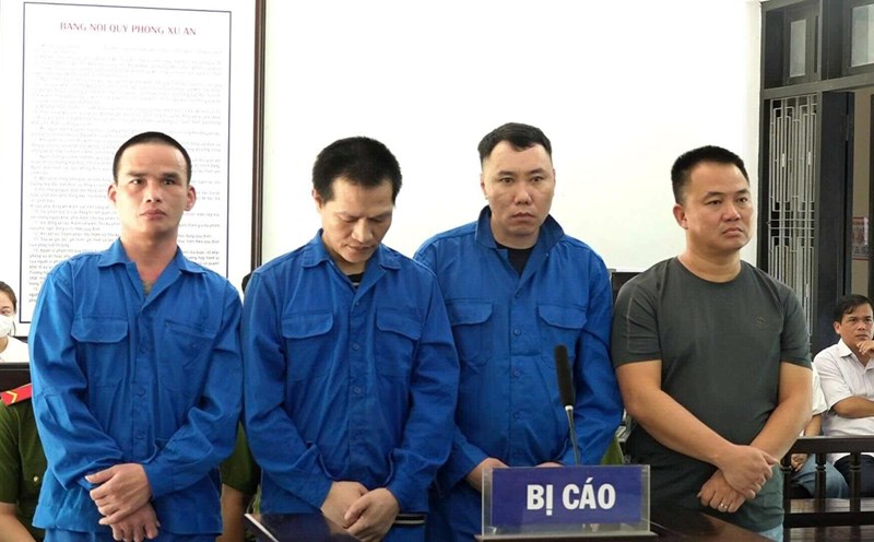 Illegally transporting 12 Chinese people, 4 defendants in Quang Ninh were sentenced to prison.