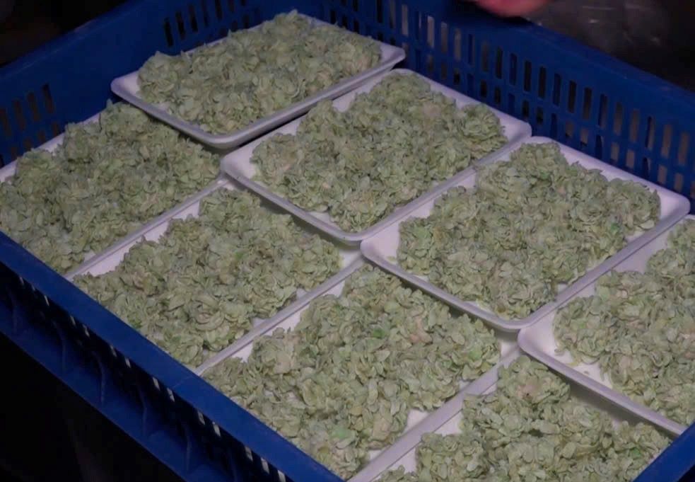 Thực phẩm đã qua sơ chế không rõ nguồn gốc xuất xứ, không ngày sản xuất và hạn sử dụng được Công an Khánh Hòa phát hiện tại kho lạnh khi kiểm tra. Ảnh: Công an Khánh Hòa