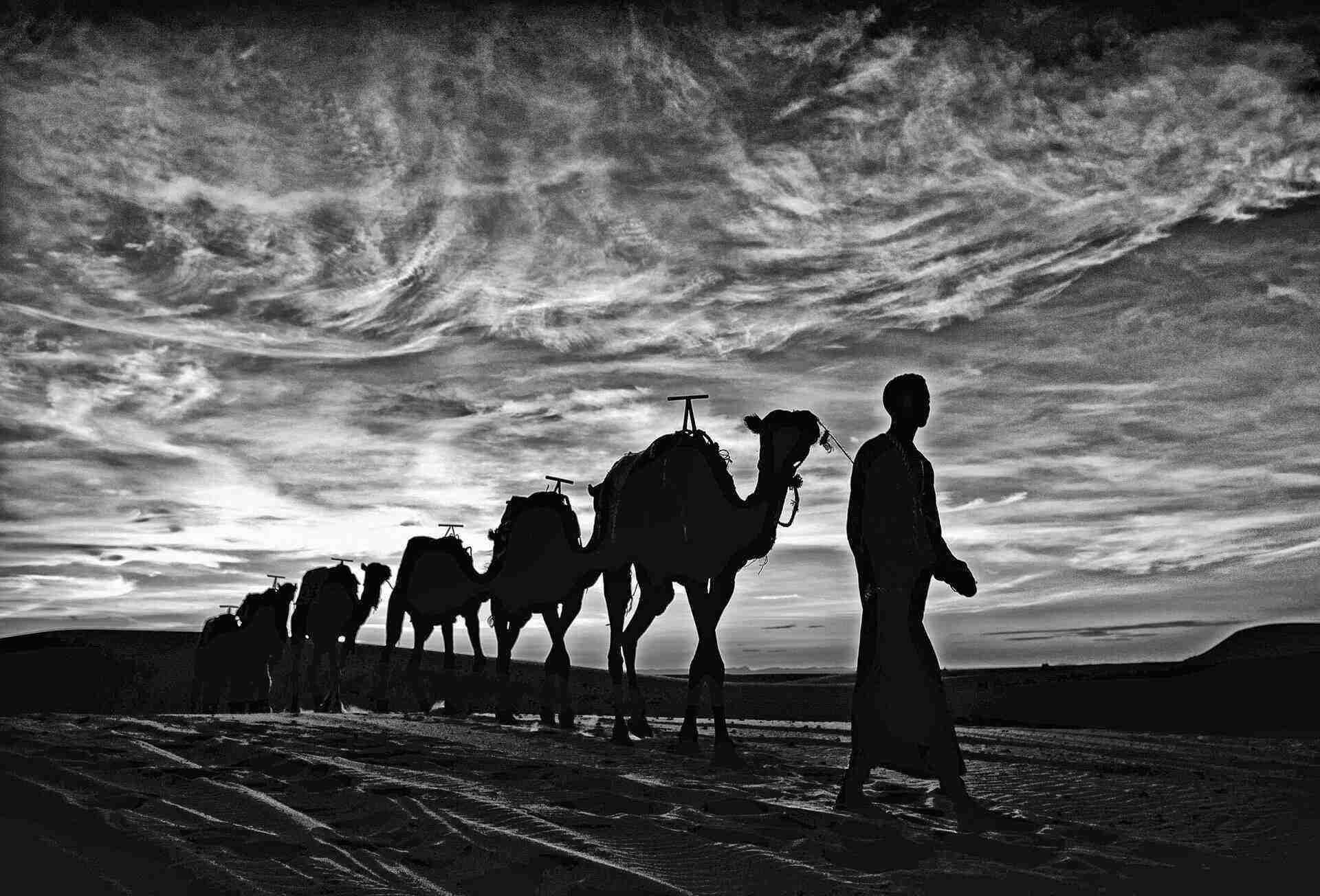 A camel leader in the Sahara desert (Morocco). Photo: Viet Van