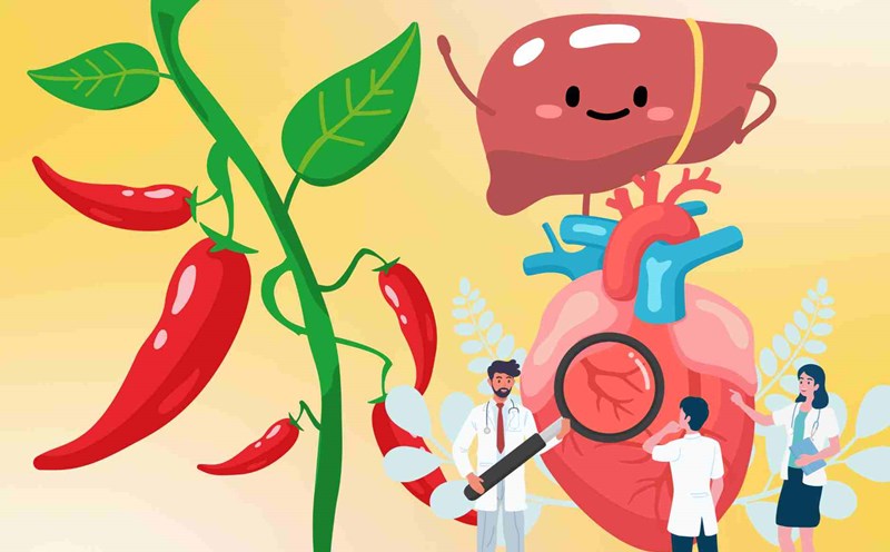 This spicy leaf is beneficial for the liver and heart