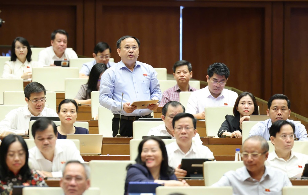 Dai bieu Tran Duc Thuan phat bieu. Anh: Pham Dong