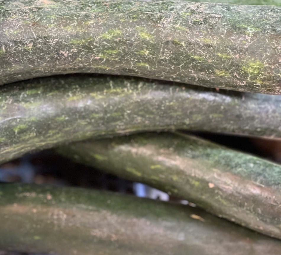 Squash cooked with shrimp is a dish that supports kidney detoxification. Photo: Quang Minh.