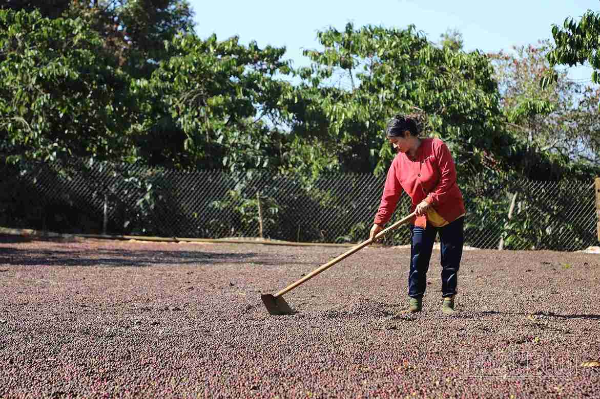 In recent years, the lives of ethnic minority people in Dak Nong have improved. Photo: Bao Lam
