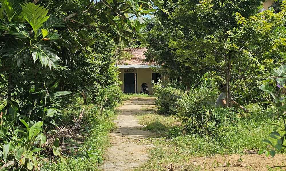 Theo ke hoach, du an chinh trang phia Tay con Da Vien se giai phong khoang 6,6ha, phat quang, lam sach mat bang, dau tu he thong dien nuoc, lat da duong di bo dai khoang 1,5km, ket noi dong bo voi phia Dong con va duong di bo hai ben bo song Huong (tren hinh la mot so ho dan chua duoc giai toa, van co nguoi o).