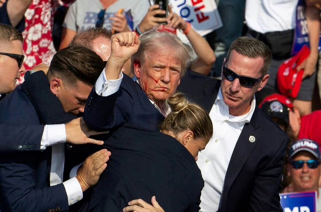 En el momento en que Donald Trump fue defendido por el Servicio Secreto en el asesinato cuando hace campaña en Butler, Pensilvania, 13 de julio de 2024. Foto: AFP