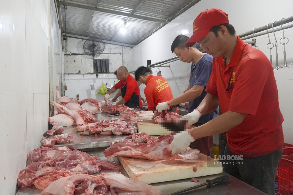 “Co so rat chu trong den viec xu ly heo yeu hoac bi benh. Nhung con co dau hieu bat thuong se duoc nhot cach ly rieng biet, voi khu cach ly heo yeu cach heo khoe 100m. Doi voi nhung truong hop benh nang, heo se duoc xu ly bang cach chon tai khu vuc rieng cach lo 500m, nham dam bao ve sinh moi truong va phong ngua dich benh lay lan mot cach triet de”, ong Vu cho hay.
