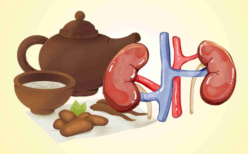 Herbal stevia tea helps replenish blood, nourish the kidneys, and increase resistance