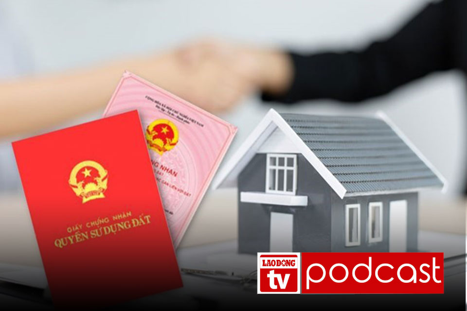 Noticias 19.6: El tiempo de emision del libro rojo se acorta desde 1.7