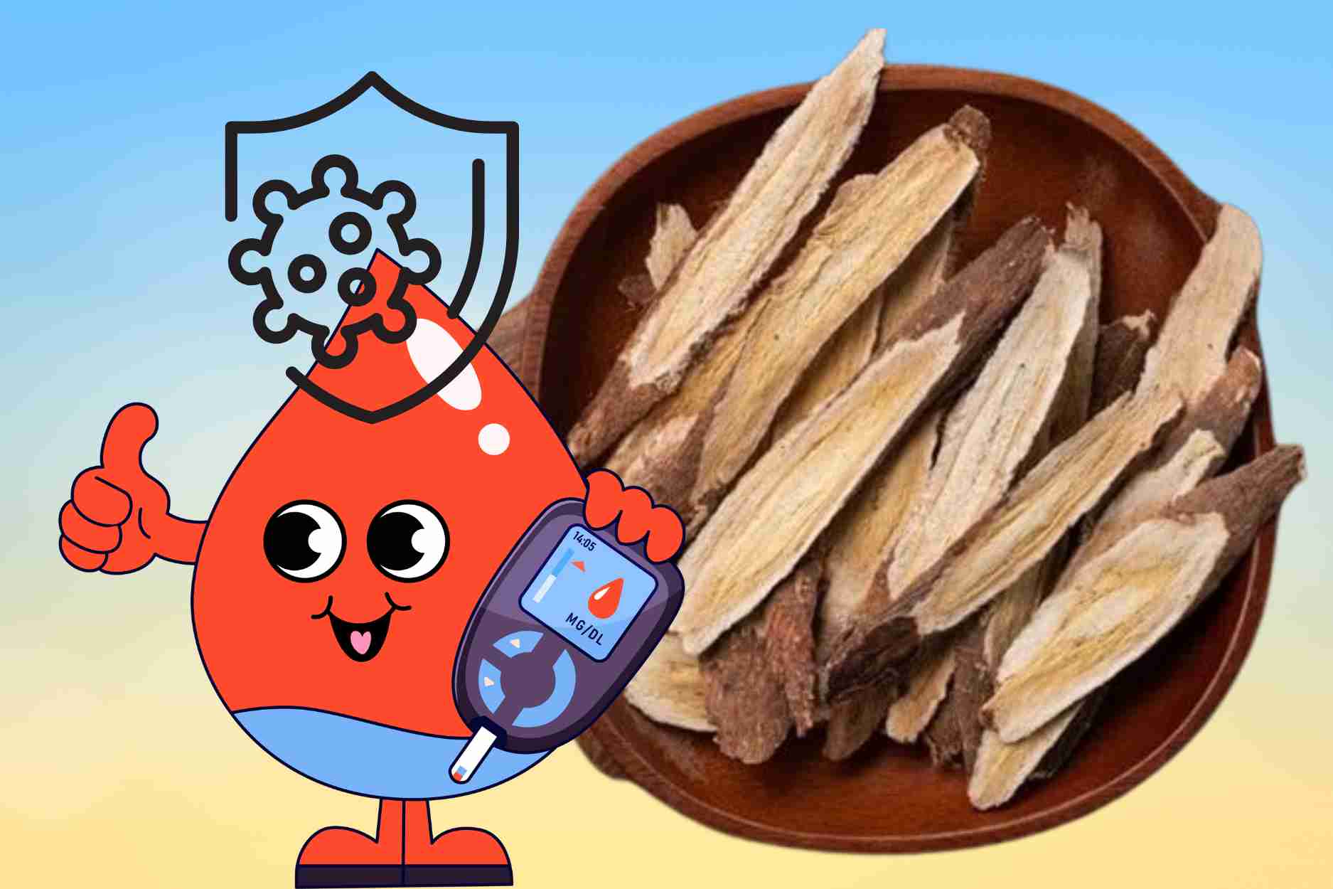 Natural herbs help control blood sugar, increase resistance in summer