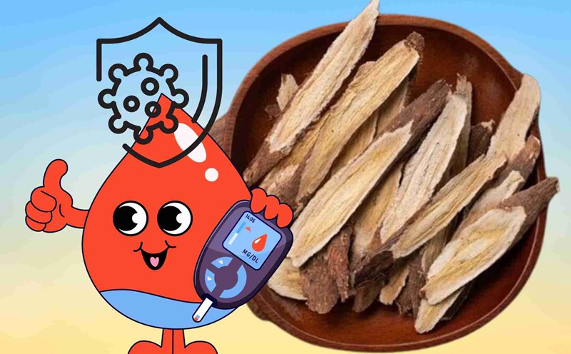 Natural herbs help control blood sugar, increase resistance in summer