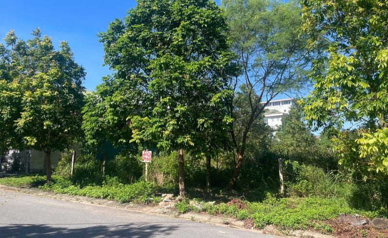 Thửa đất của ông Phương sử dụng từ năm 2003 chưa được cấp sổ đỏ. Ảnh: Hưng Thơ