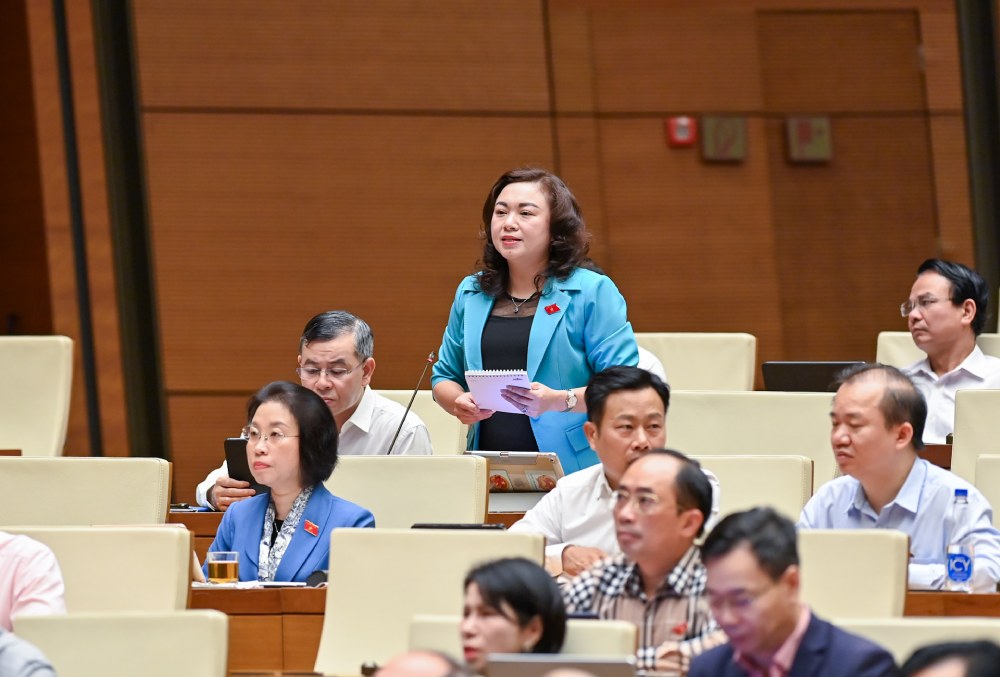 Dai bieu Dang Bich Ngoc (Doan Hoa Binh). Anh: Quochoi