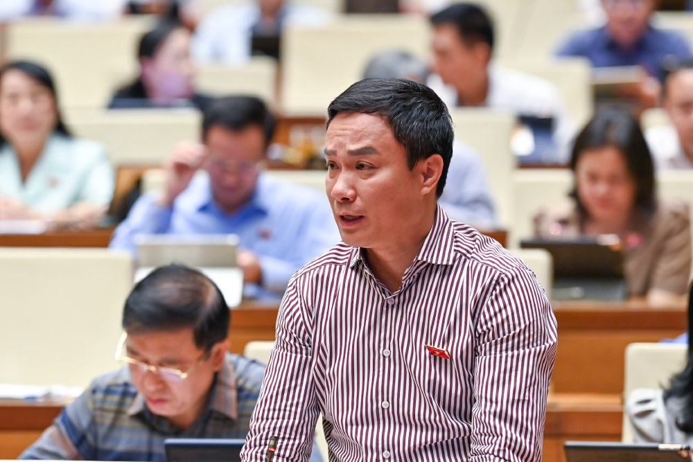 Dai bieu Trieu The Hung (Doan Hai Duong) chat van ve giai phap thuc day tieu dung noi dia. Anh: Quochoi