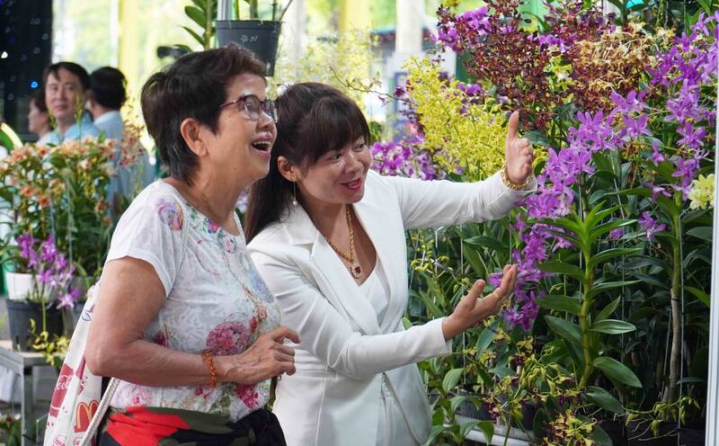 doc dao and exotic plants attract visitors at the week of sowing, high-tech agriculture... in Ho Chi Minh City.
