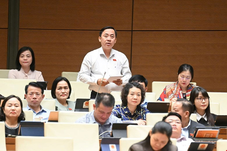Dai bieu Dao Chi Nghia - Doan DBQH tinh Can Tho. Anh: Quochoi.vn